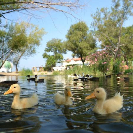 Yonca Lodge Fethiye Exterior foto